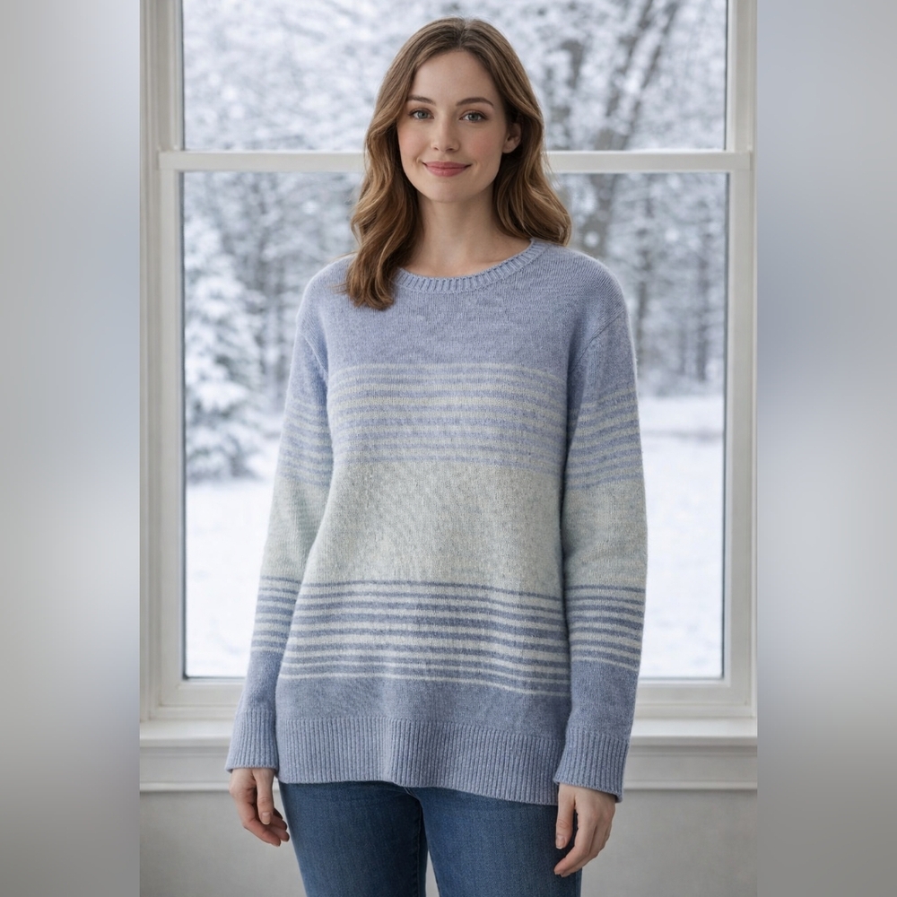 Ella Moss Womens Gradient Sweater Size L - Picture 1 of 7